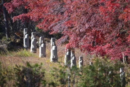 2022 광릉추모공원 가을의 모습 입니다