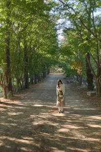 광릉추모공원 숲