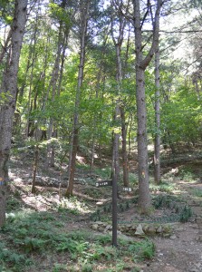 광릉추모공원 수목장