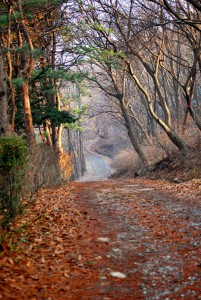 가을이 되면