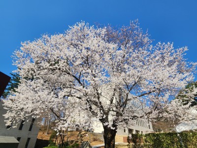 [광릉추모공원] 고인과의 추억을 빛나게 하는 …
